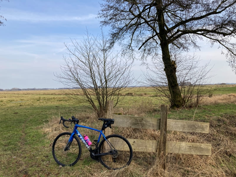 My blue Trek Domane AL3 with pink bottle leaning against an isolated part of a wooden gate within a flat, grassy lanscape, a small naked tree and a bigger one right behind it